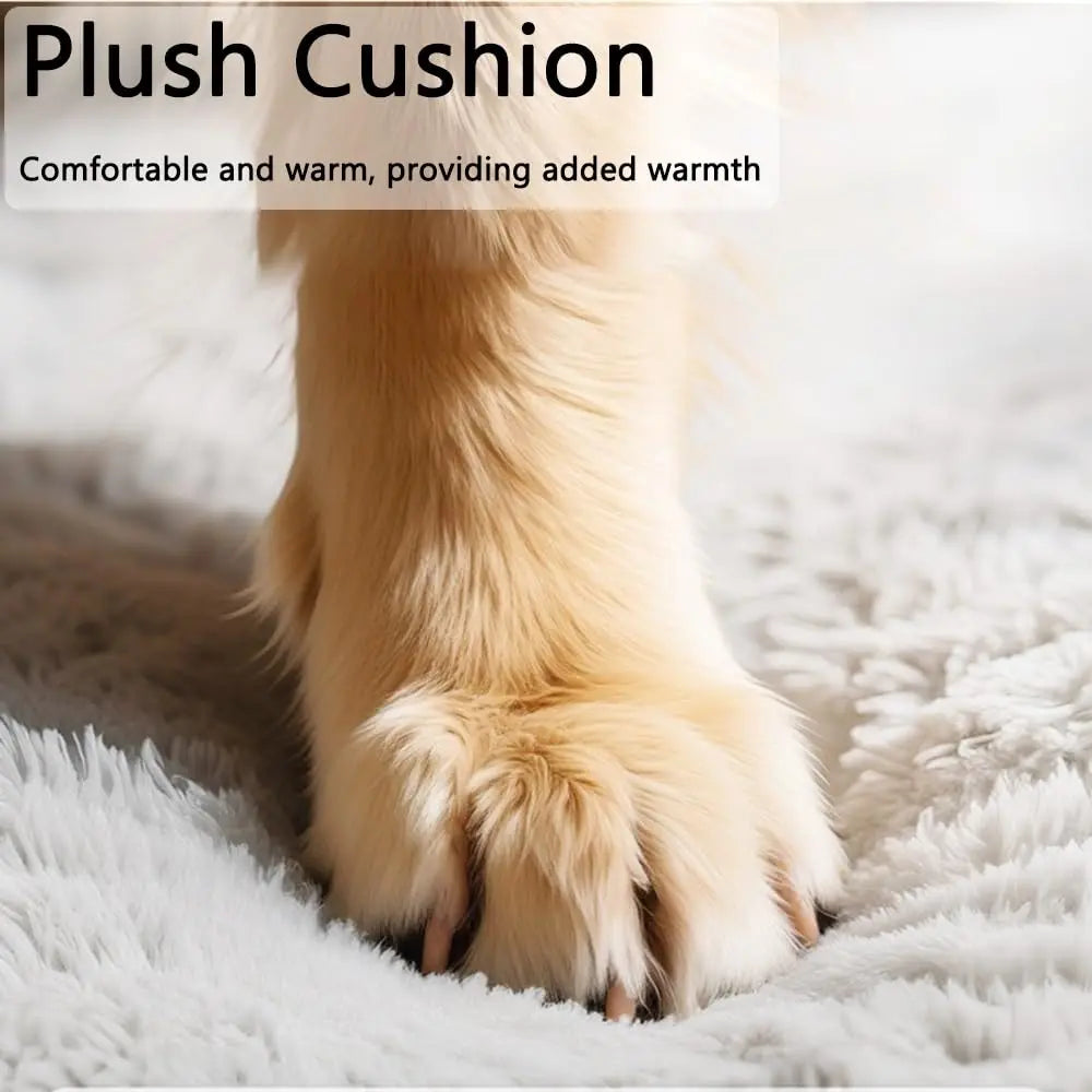 Classic Fabric Covered Dog Bed - Detachable Shelter, Soft Washable Tent Design, Indoor Hideaway for Small Dogs & Cats (Home, Living Room Use)