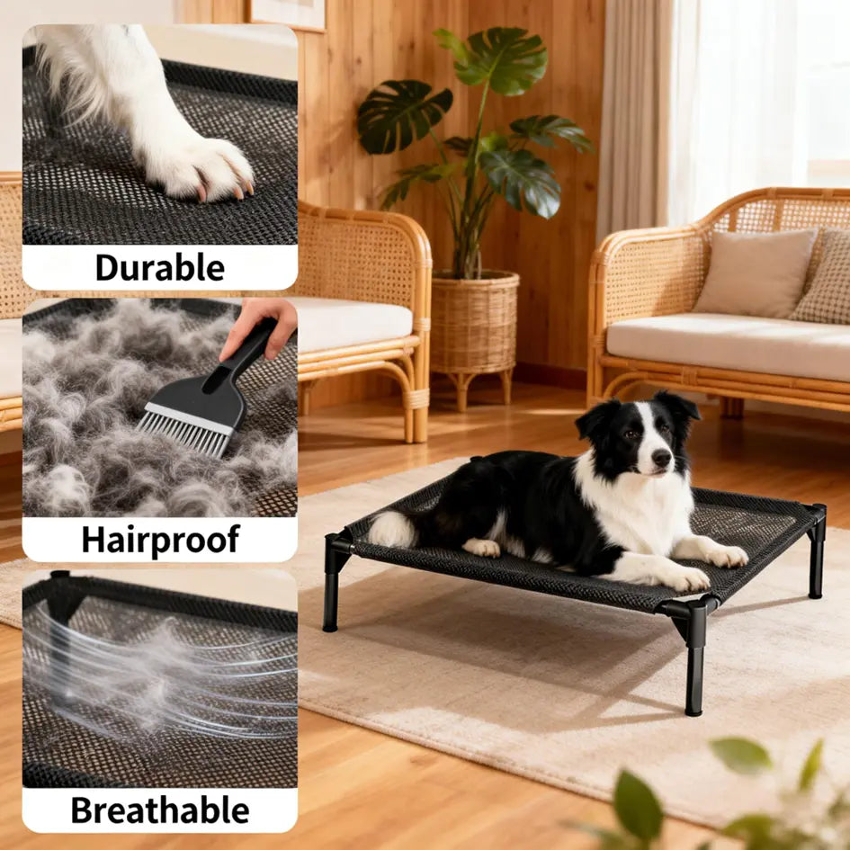 Contemporary Chew Resistant Elevated Dog Bed - Machine Washable Mesh Cot with Anti-Slip Ft, Durable Beds for Large Dogs, No Extra Tools Needed, Indoor/Outdoor Use, Black