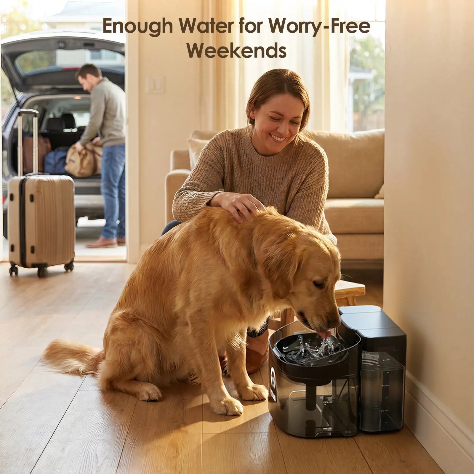 VEWO 11L Large Dog Water Fountain for Big Breeds, No Spill Dog Water Bowl Dispenser with Deep Basin, BPA Free, Ultra Quiet, 7 Days No Refill for Large Dogs/Multi-Pet Homes