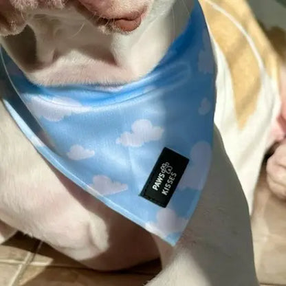 Cooling Bandanas for Dogs - Stay Cool in All Seasons - Stylish Neck Accessory