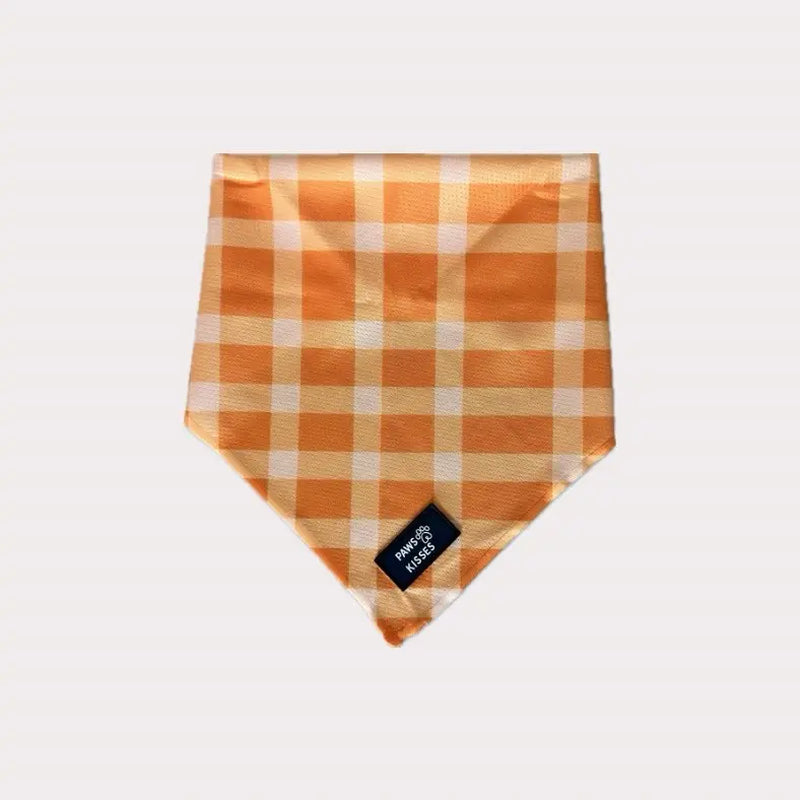 Cooling Bandanas for Dogs - Stay Cool in All Seasons - Stylish Neck Accessory
