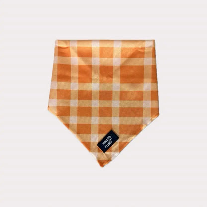 Cooling Bandanas for Dogs - Stay Cool in All Seasons - Stylish Neck Accessory