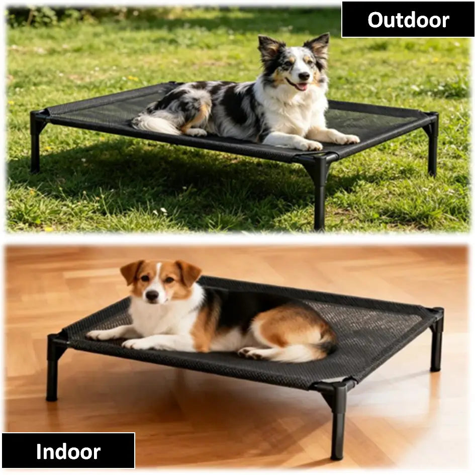 Contemporary Chew Resistant Elevated Dog Bed - Machine Washable Mesh Cot with Anti-Slip Ft, Durable Beds for Large Dogs, No Extra Tools Needed, Indoor/Outdoor Use, Black