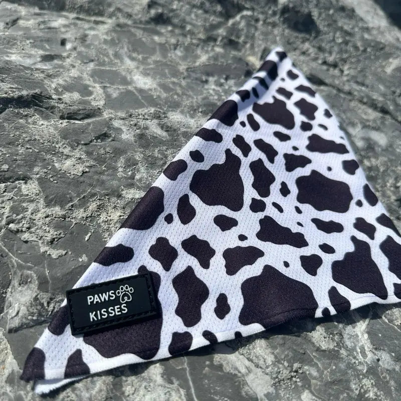 Cooling Bandanas for Dogs - Stay Cool in All Seasons - Stylish Neck Accessory