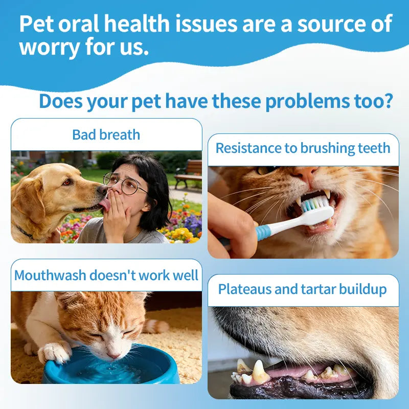 Ihubei Pet Dental Teeth Cleaning Finger Wipes 50Pcs for Dog&Cat: Prevent Pet Tooth Decay and Prolong Pet Life; Gentle Non-Irritating Freshens Breath Whitens Gums and Strengthens Teeth Made with Anatural Ingredients