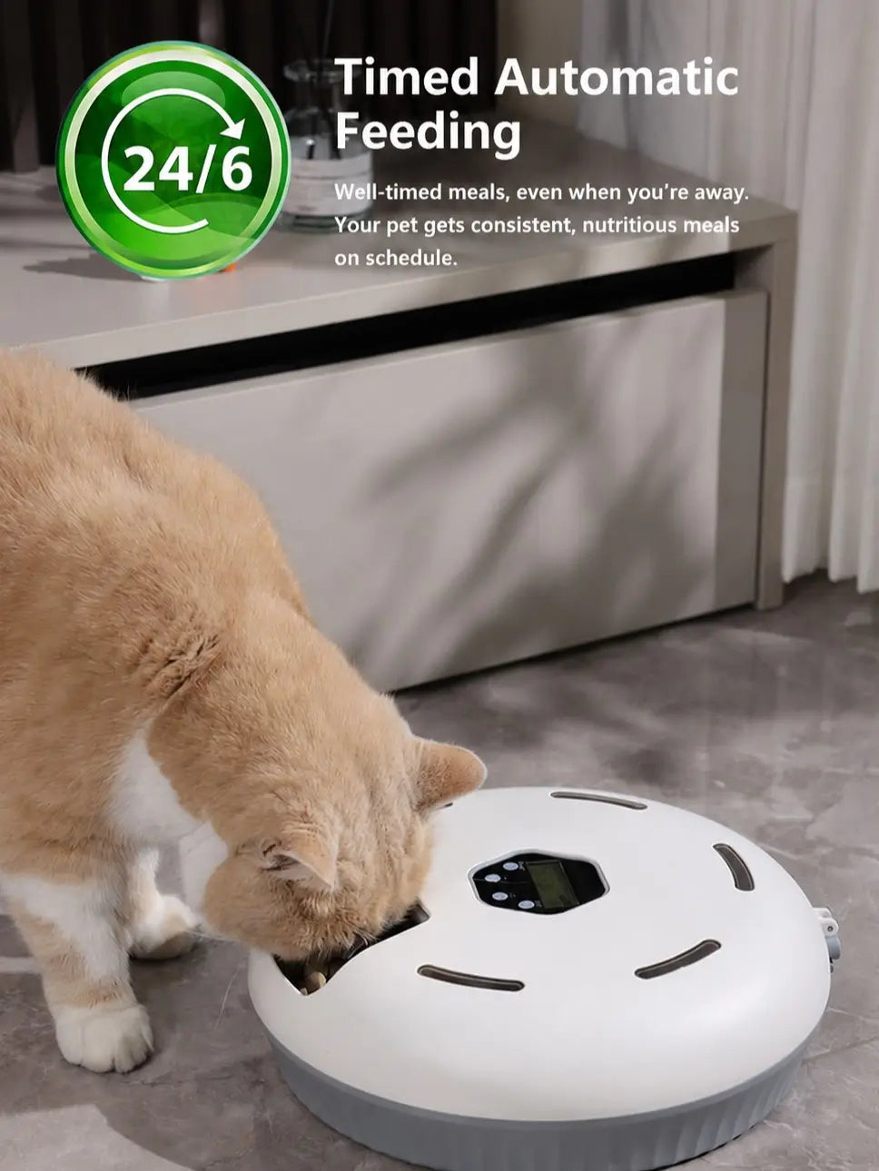6-Meal Automatic Cat Feeder with Manual Timer, Battery Powered Timed Rotating Food Tray for Cats & Small Dogs, Wet & Dry Food Dispenser with 2 Ice Packs