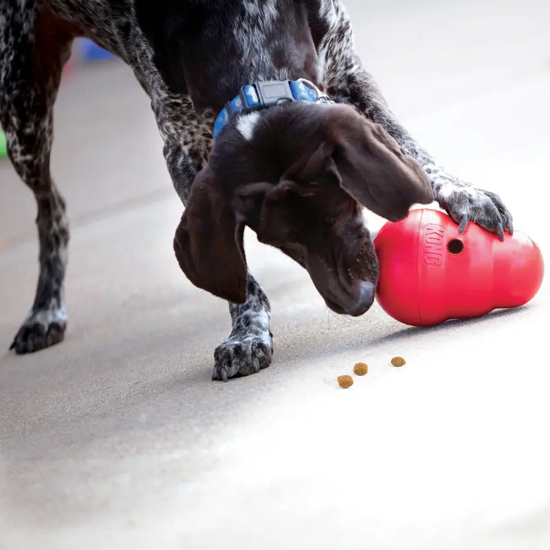 Wobbler Dog Treat Dispensing Dog Toy