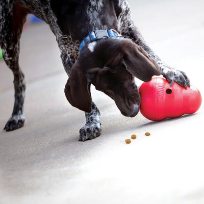 Wobbler Dog Treat Dispensing Dog Toy