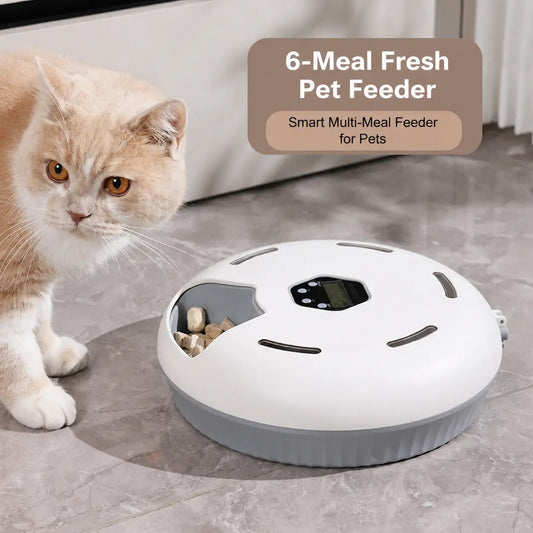 6-Meal Automatic Cat Feeder with Manual Timer, Battery Powered Timed Rotating Food Tray for Cats & Small Dogs, Wet & Dry Food Dispenser with 2 Ice Packs