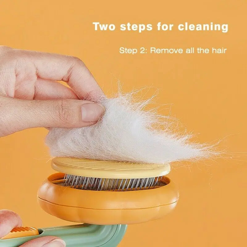 Pet Self Cleaning Pumpkin Brush