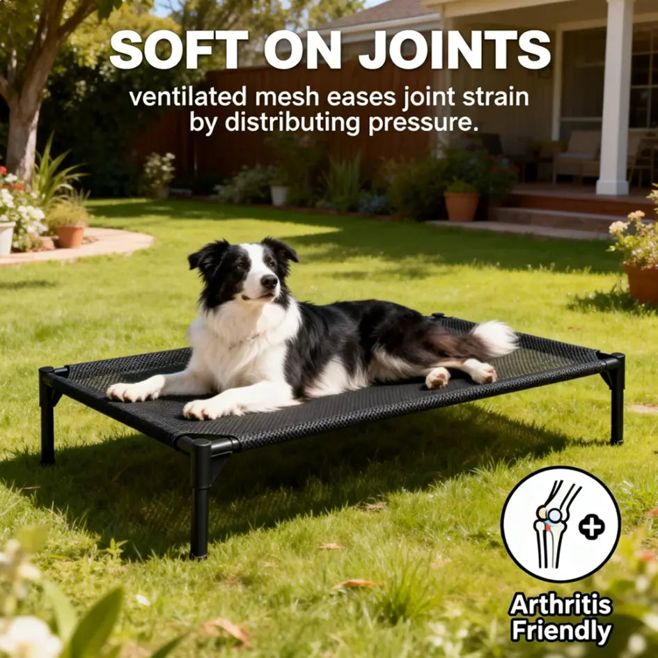 Contemporary Chew Resistant Elevated Dog Bed - Machine Washable Mesh Cot with Anti-Slip Ft, Durable Beds for Large Dogs, No Extra Tools Needed, Indoor/Outdoor Use, Black