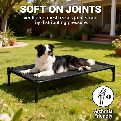 Contemporary Chew Resistant Elevated Dog Bed - Machine Washable Mesh Cot with Anti-Slip Ft, Durable Beds for Large Dogs, No Extra Tools Needed, Indoor/Outdoor Use, Black