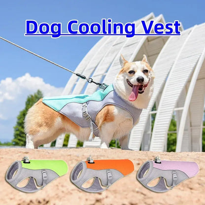 Dog Cooling Harness