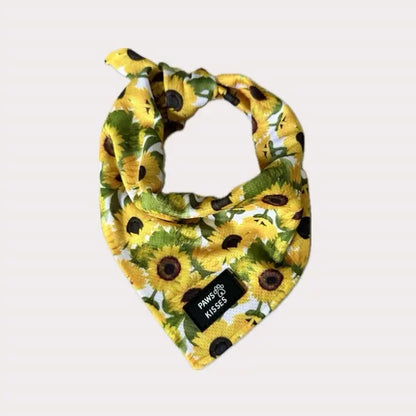 Cooling Bandanas for Dogs - Stay Cool in All Seasons - Stylish Neck Accessory