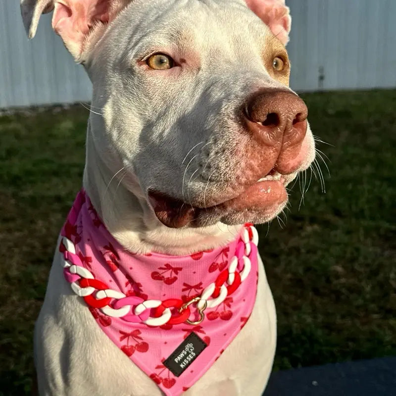 Cooling Bandanas for Dogs - Stay Cool in All Seasons - Stylish Neck Accessory