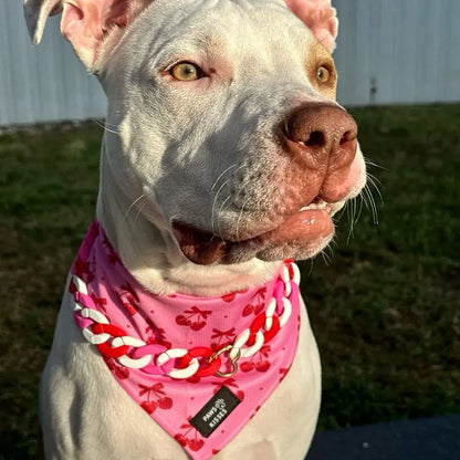 Cooling Bandanas for Dogs - Stay Cool in All Seasons - Stylish Neck Accessory