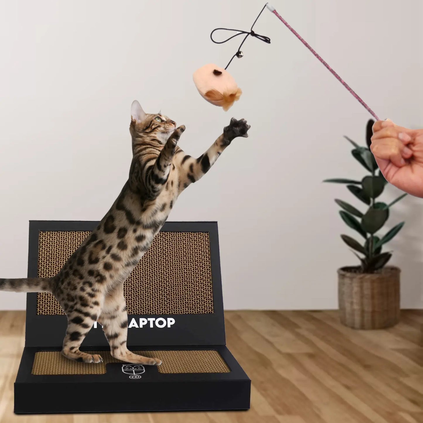 Kitty Laptop - Toy Cat Laptop with 2 Scratchboards, Catnip Mouse Toy, 50 Pack Cat Stickers & Interactive Eco-Friendly Cat Computer for Cats