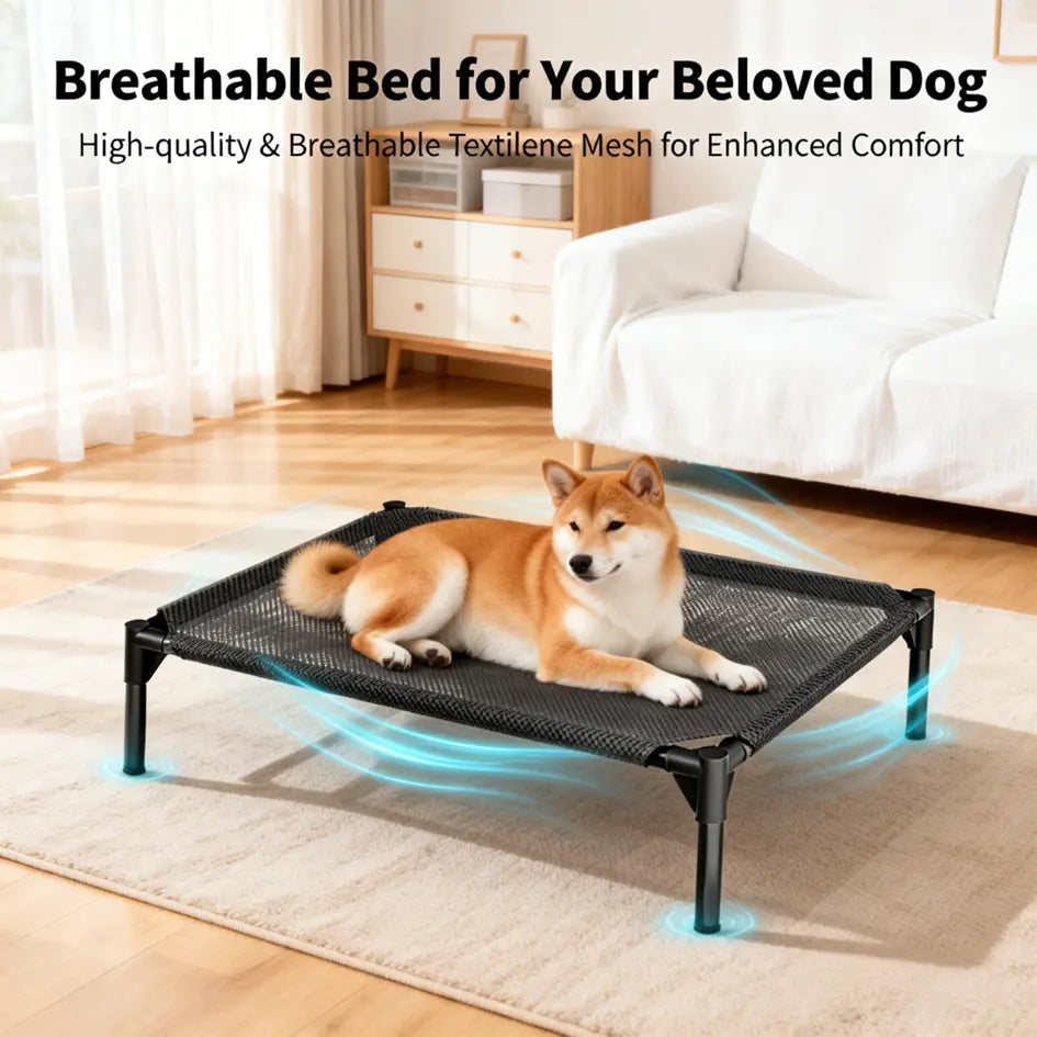 Contemporary Chew Resistant Elevated Dog Bed - Machine Washable Mesh Cot with Anti-Slip Ft, Durable Beds for Large Dogs, No Extra Tools Needed, Indoor/Outdoor Use, Black