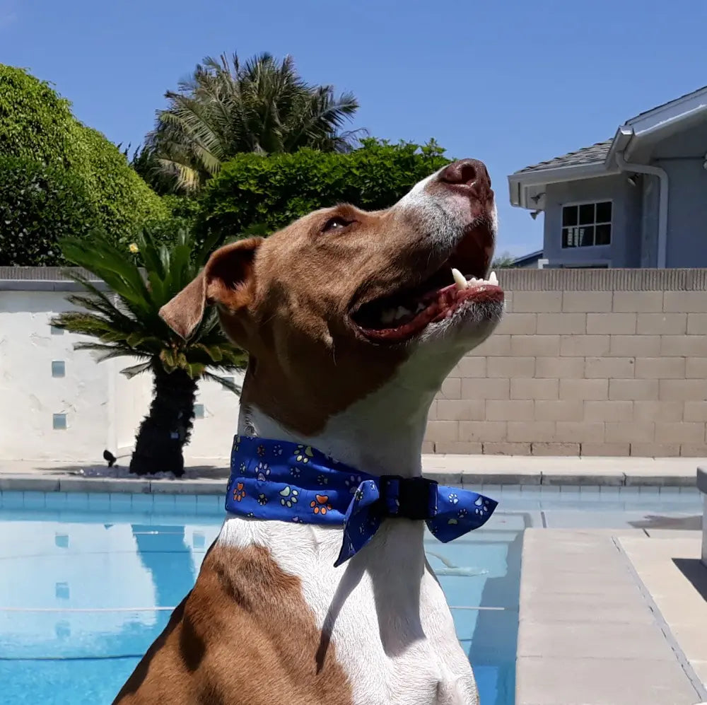Cooling Dog Collar, Pup Chill, Fido Heat Relief Collar, Cooling Mat