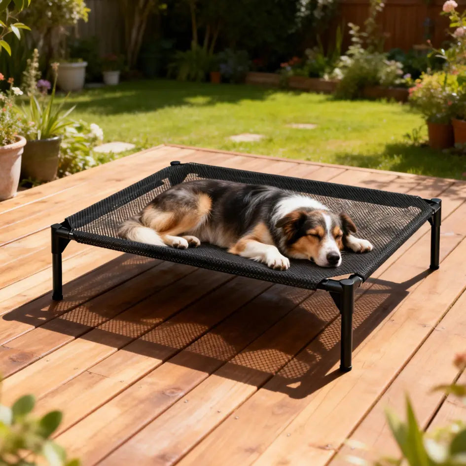 Contemporary Chew Resistant Elevated Dog Bed - Machine Washable Mesh Cot with Anti-Slip Ft, Durable Beds for Large Dogs, No Extra Tools Needed, Indoor/Outdoor Use, Black