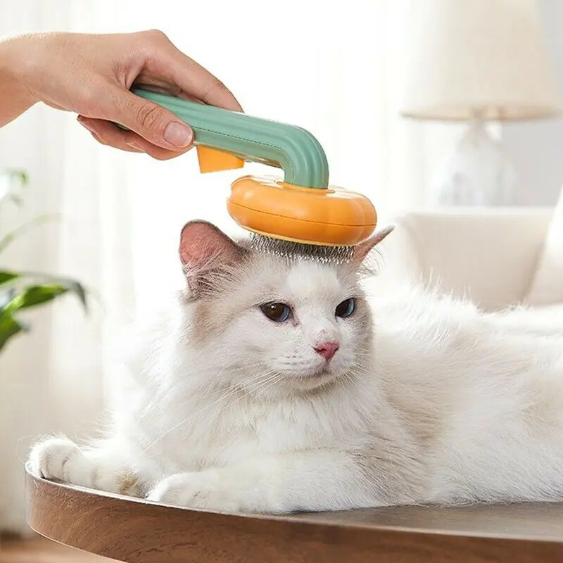 Pet Self Cleaning Pumpkin Brush