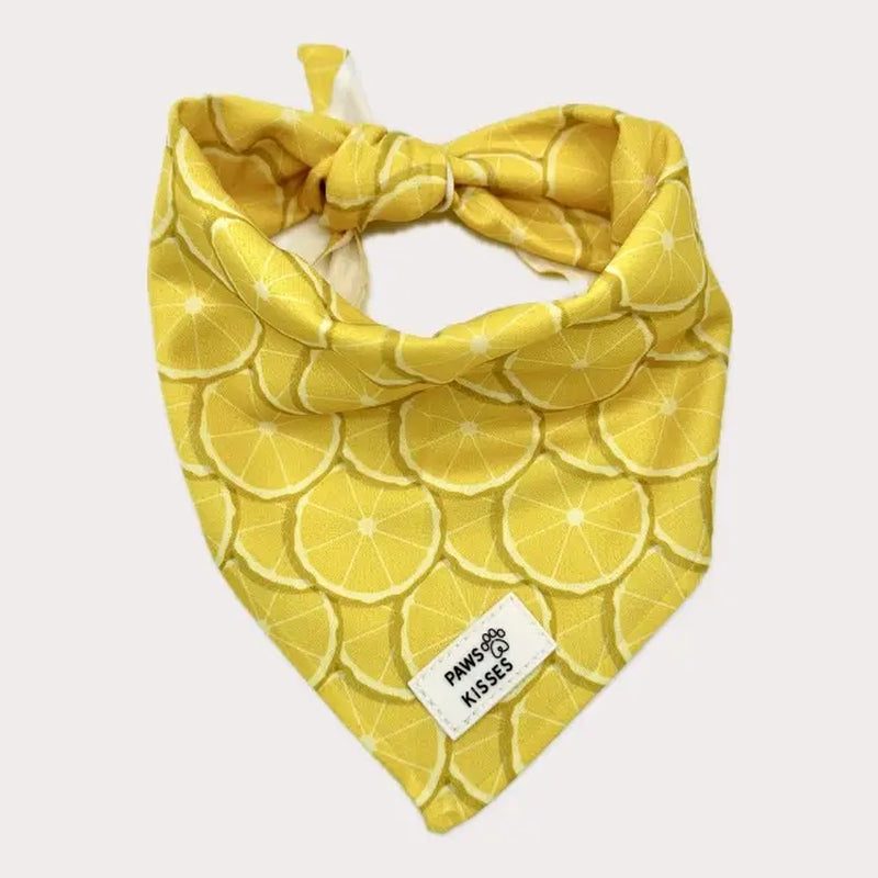 Cooling Bandanas for Dogs - Stay Cool in All Seasons - Stylish Neck Accessory
