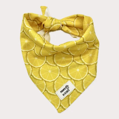 Cooling Bandanas for Dogs - Stay Cool in All Seasons - Stylish Neck Accessory