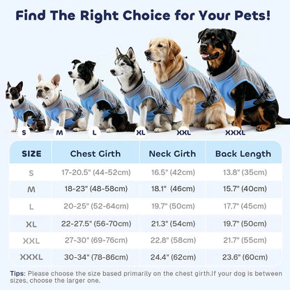 Mora Pets Dog Cooling Vest | UPF 50+ Sun Protection & Evaporative Cooler Jacket | Lightweight Breathable Dog Summer Clothes with Leash Hole for Small Medium Large Dogs - Light Gray Blue, M