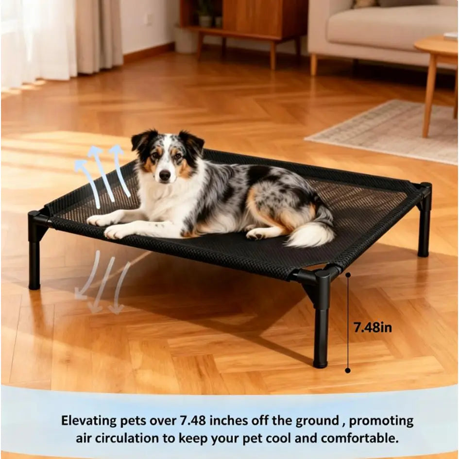 Contemporary Chew Resistant Elevated Dog Bed - Machine Washable Mesh Cot with Anti-Slip Ft, Durable Beds for Large Dogs, No Extra Tools Needed, Indoor/Outdoor Use, Black